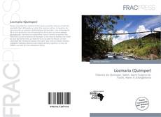 Capa do livro de Locmaria (Quimper) 