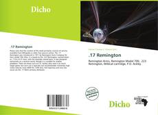 Couverture de .17 Remington