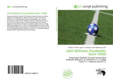 Bookcover of John Williams (Footballer born 1968)