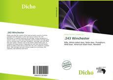 Couverture de .243 Winchester