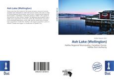 Buchcover von Ash Lake (Wellington)