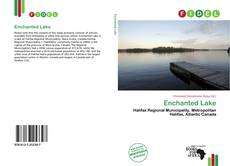 Bookcover of Enchanted Lake