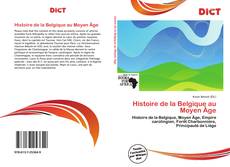 Histoire de la Belgique au Moyen Âge的封面