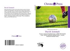 Portada del libro de David Jemmali