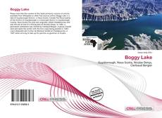 Couverture de Boggy Lake