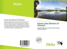 Copertina di Goose Lake (District of Chester)