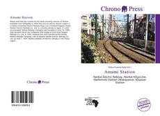 Buchcover von Amami Station