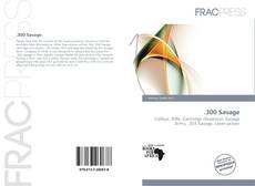 Copertina di .300 Savage