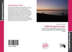 Capa do livro de Little Ferguson Lake 