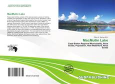 Buchcover von MacMullin Lake