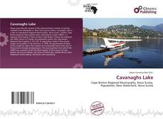 Borítókép a  Cavanaghs Lake - hoz