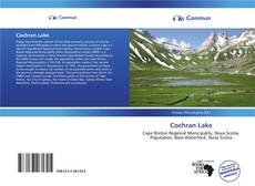 Capa do livro de Cochran Lake 