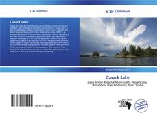 Capa do livro de Cusack Lake 