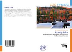 Bookcover of Brandy Lake