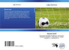 Capa do livro de Dávid Gróf 