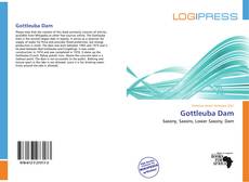 Bookcover of Gottleuba Dam