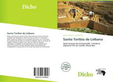 Copertina di Santo Toribio de Liébana
