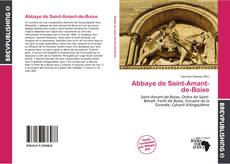 Abbaye de Saint-Amant-de-Boixe kitap kapağı