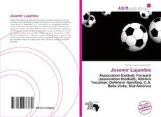 Portada del libro de Josemir Lujambio