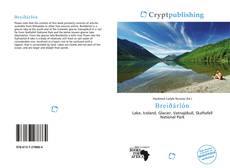 Bookcover of Breiðárlón