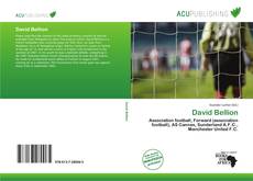 Bookcover of David Bellion