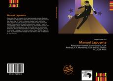 Bookcover of Manuel Lapuente