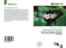 Bookcover of Yponomeuta rorrella