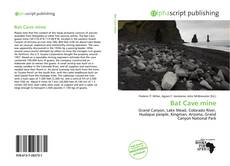 Borítókép a  Bat Cave mine - hoz
