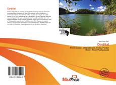 Bookcover of Dodital