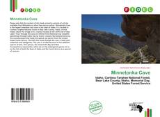 Capa do livro de Minnetonka Cave 