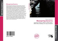 Buchcover von Bluespring Caverns