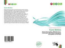 Capa do livro de Cuno Strikes 