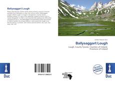 Buchcover von Ballysaggart Lough