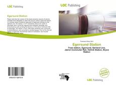 Capa do livro de Egersund Station 