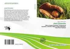 Buchcover von Joel Chimelis