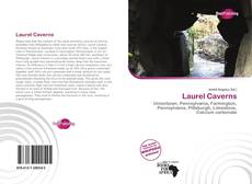 Buchcover von Laurel Caverns