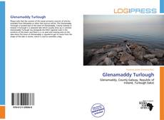 Bookcover of Glenamaddy Turlough