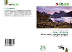 Bookcover of Lago del Salto