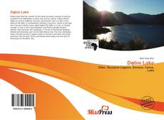 Copertina di Dąbie Lake
