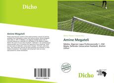 Portada del libro de Amine Megateli