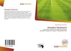Buchcover von Amadou Soukouna