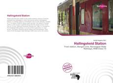 Bookcover of Hallingskeid Station