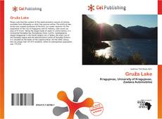 Buchcover von Gruža Lake