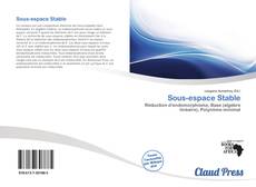 Bookcover of Sous-espace Stable