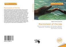 Bookcover of Marineland of Florida