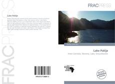 Lake Palčje的封面
