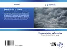 Capa do livro de Exponentiation by Squaring 