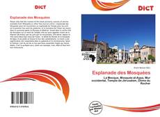 Couverture de Esplanade des Mosquées