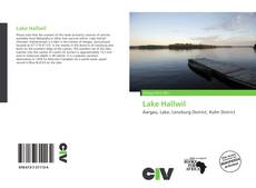 Capa do livro de Lake Hallwil 