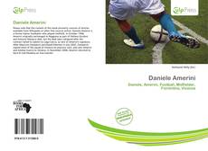 Bookcover of Daniele Amerini